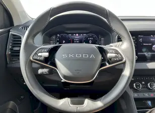 Škoda Karoq Top Selection