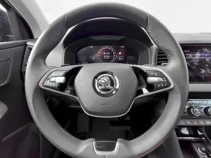 Škoda Karoq Akční model
