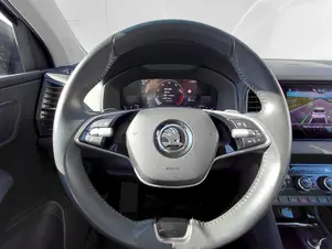 Škoda Karoq Akční model
