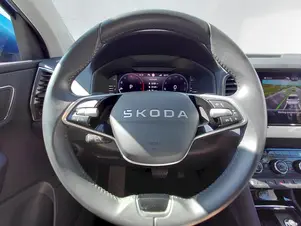 Škoda Karoq Top Selection