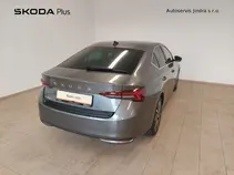 Octavia Exclusive Selection