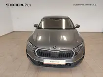 Octavia Exclusive Selection