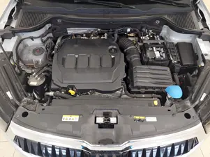 Škoda Karoq Top Selection