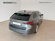 Octavia Exclusive Selection