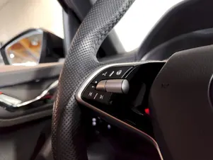 Škoda Kamiq Monte Carlo