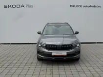 Kamiq Monte Carlo