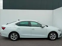 Octavia 