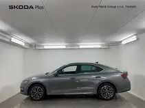 Octavia 