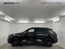Touareg