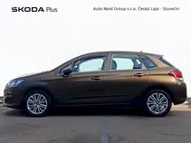 C4 